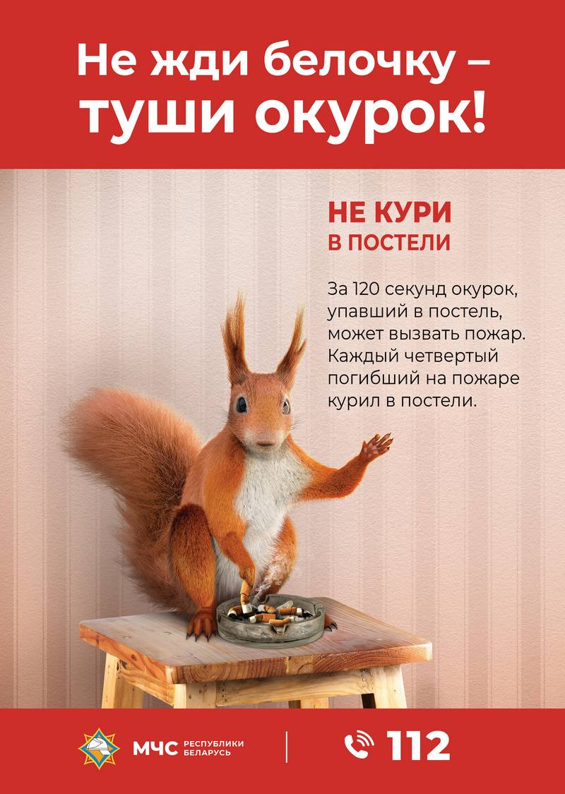 «Не жди белочку – туши окурок!» средняя школа №63 г. Минска