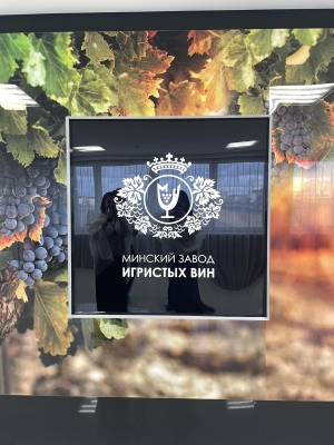 Экскурсия с ТЭУП "Беларустурист" средняя школа №63 г. Минска